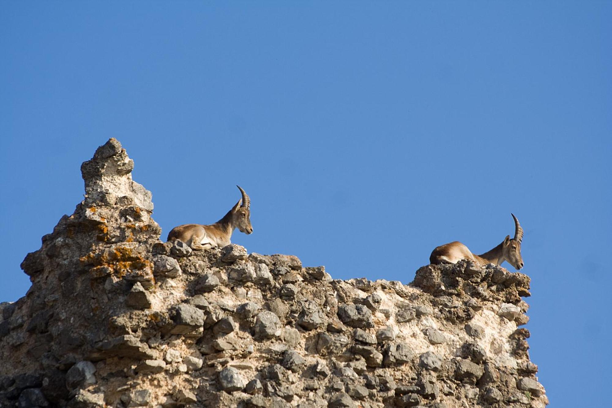 Los Huertos De Segura Segura de la Sierra Exteriér fotografie